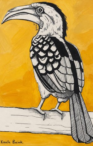 Black and white hornbill against a golden ochre background, acrylic and black Indian ink artwork