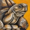 Detailed tortoise portrait against a golden orange background, acrylic and black Indian ink artwork