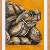 Framed tortoise acrylic and black Indian ink artwork with a white mount and natural wood frame