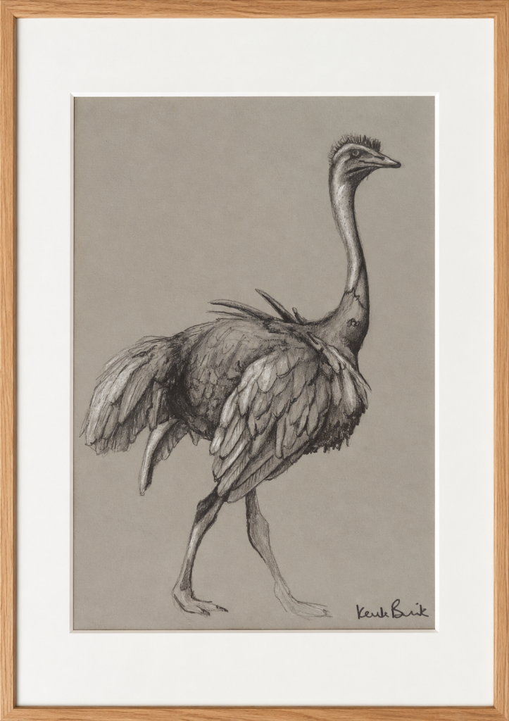 Framed graphite drawing of a standing ostrich by Karla Brink