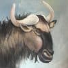 Wildebeest oil painting by Karla Brink, showing sweeping horns, an amber eye and a shaggy mane.